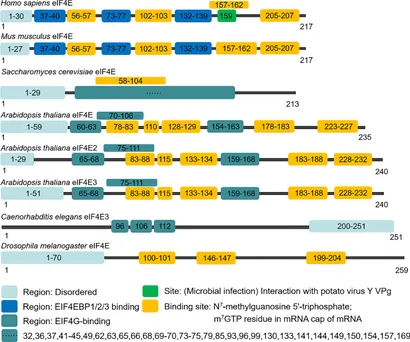 その他 SE Nissan 280ZX Civilian Laurel OEM Genuine Exhaust Manifold