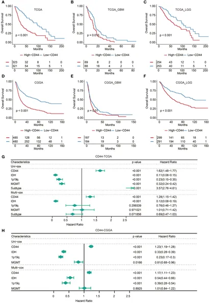 その他 CHRONIC GRAPHICA:01 Anti-IFNL1 (IL29) neutralizing monoclonal antibody | InvivoGen