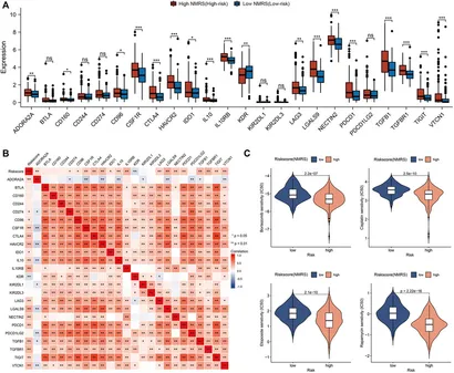 Frontiers | Identification of a nucleotide metabolism