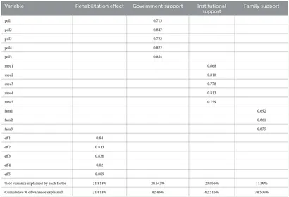 Frontiers | Assessment of Chinese rehabilitation assistance