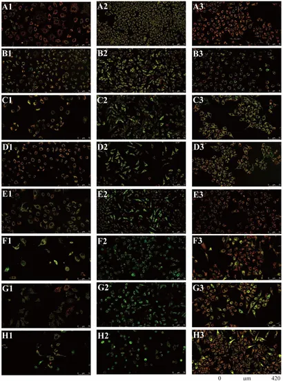 クリスマスファッション pro-apoptotic and Cytotoxic | Frontiers effects botanical of ミュージック