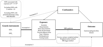 fnut-10-1106769-g001.jpg