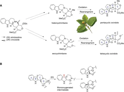 B さん、 Rational Design of Nanozymes for Engineered Cascade