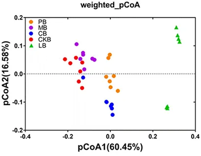 Frontiers | Rhodopseudomonas palustris PSB06 agent enhance