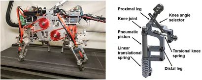 Manipulation of Extremity 中川 賢雄 Joint Mobilization/Manipulation: Extremity and Spinal
