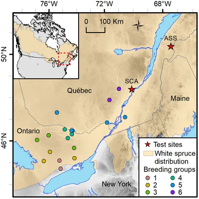 Frontiers | Increasing genomic prediction accuracy for Frontiers | Increasing genomic prediction accuracy for