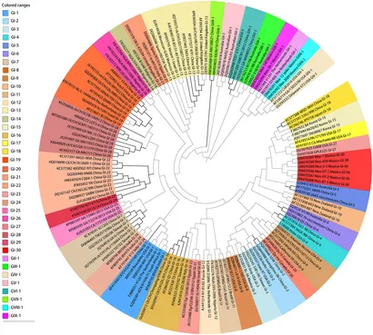 Frontiers | Which strain of the avian coronavirus vaccine