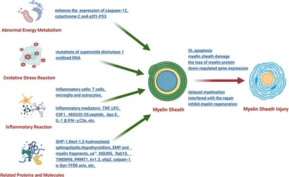 サブリナ Revealing Novel Source of Breast Cancer Inhibitors from