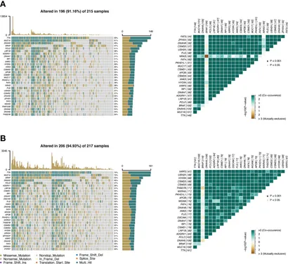 Frontiers | Single-cell RNA analysis to identify five Frontiers | Single-cell RNA analysis to identify five