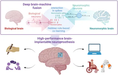 Neuromorphic Computing Principles and … Neuromorphic Computing Principles and Organization: Ben