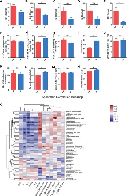 激安大特価！ Frontiers | JK5G postbiotics attenuate immune-related テレビ