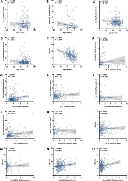 Frontiers | Leukocyte telomere length and mitochondrial DNA