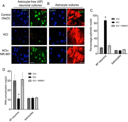 Frontiers | Differential splicing choices made by neurons