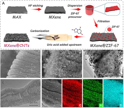 Cerebellum Lecture: the Cerebellar Nuclei—Core of the