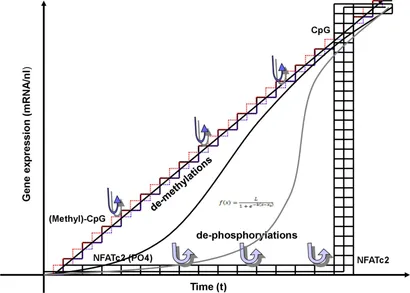 fncel-17-1220030-g003.jpg