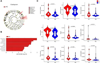 Frontiers | The preliminary evidence on the association of