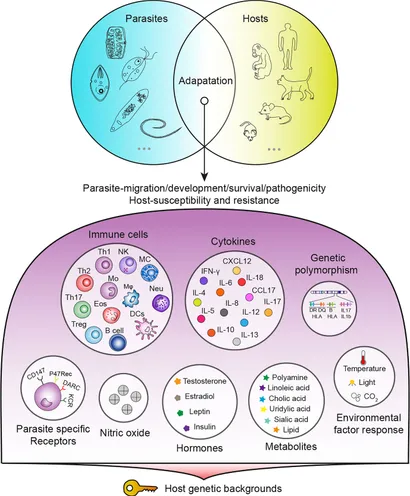 Frontiers | Host genetic backgrounds: the key to determining