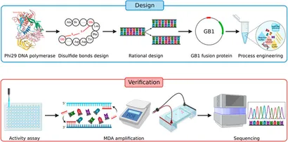 ヴァイアル　DNAの再編成 「DNA」 ヴァイアル DNAの再編成 「DNA」 ヴァイアル DNAの再編成 「DNA」