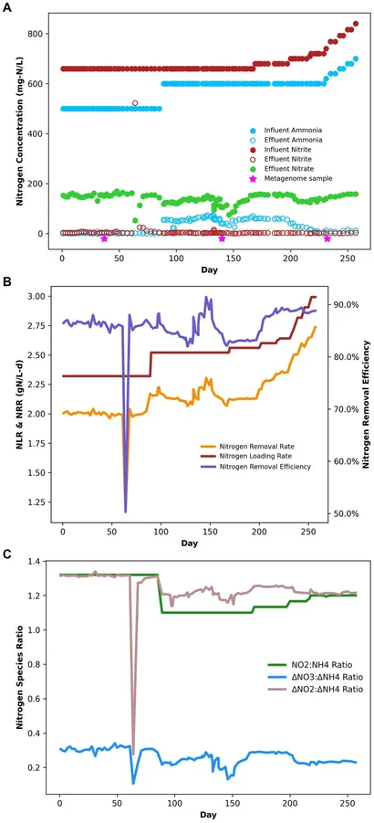 Wearable Nano-Based Gas Sensors for Environmental Monitoring