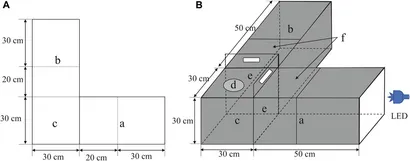 fphys-14-1250836-g001.jpg