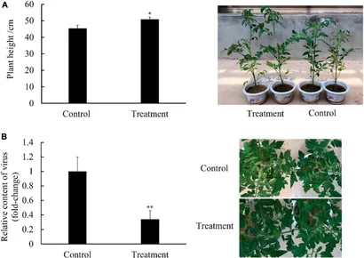 Experimental Evidence of Persistent Androgen-Receptor