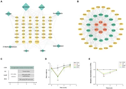 Frontiers | Puerarin alleviates inflammation and