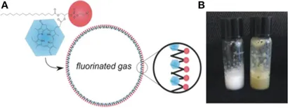 RETEN Frontiers | Emerging applications of porphyrins in photomedicine Frontiers | Emerging applications of porphyrins in photomedicine RETEN Frontiers | Emerging applications of porphyrins in photomedicine Frontiers | Emerging applications of porphyrins in photomedicine