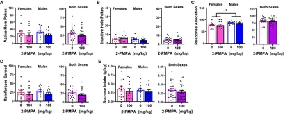 Frontiers | Effects of systemic pretreatment with the