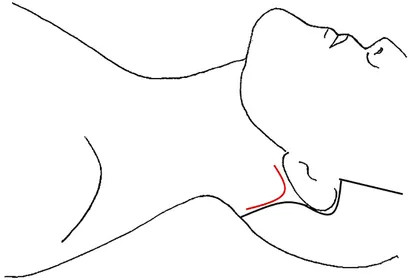 Frontiers | A scoping review of endoscopic and robotic