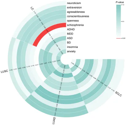 Integrated Studies on Male Reproductive Toxicity of