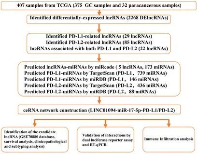 3セット専用ページ Frontiers | Identification of lncRNA dual targeting PD-L1
