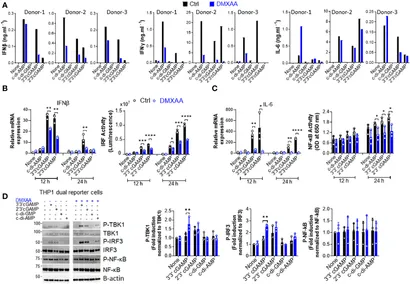 ThetaHealing ADVANCED DNA マニュアル Breakage of cytoplasmic chromosomes by pathological DNA base