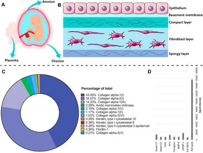 ＭＭ　Y Frontiers | Multi-omics analysis of hexaploid triticale that
