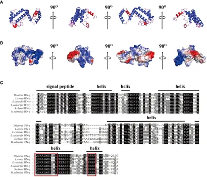 S.k様オーダー Mechanosensitive TRPV4 is required for crystal-induced