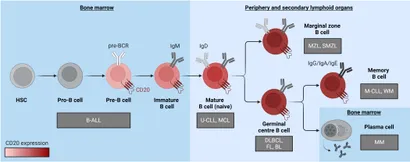 Technology Insight: cytotoxic drug immunoconjugates for