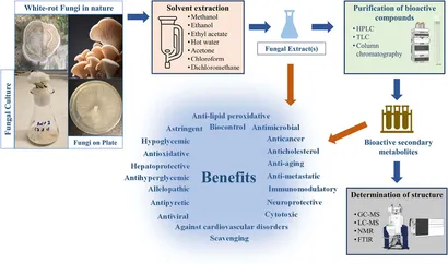 A Review of MAX Series Materials: From Diversity, Synthesis
