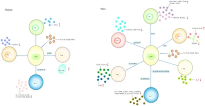 RETEN Frontiers | An updated advancement of bifunctional IL-27 in ... Frontiers | An updated advancement of bifunctional IL-27 in ... RETEN Frontiers | An updated advancement of bifunctional IL-27 in ... Frontiers | An updated advancement of bifunctional IL-27 in ...