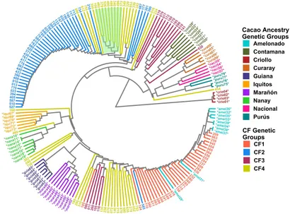 Frontiers | Using ddRADseq to assess the genetic diversity