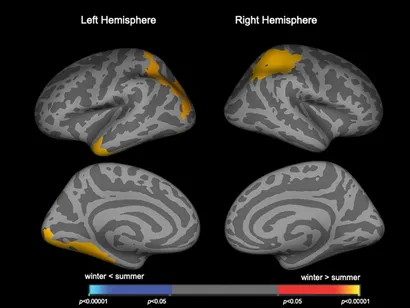 できないことがなくなる技術 Brain Copy Technique 41cvjmjAexL._AC_UF1000,