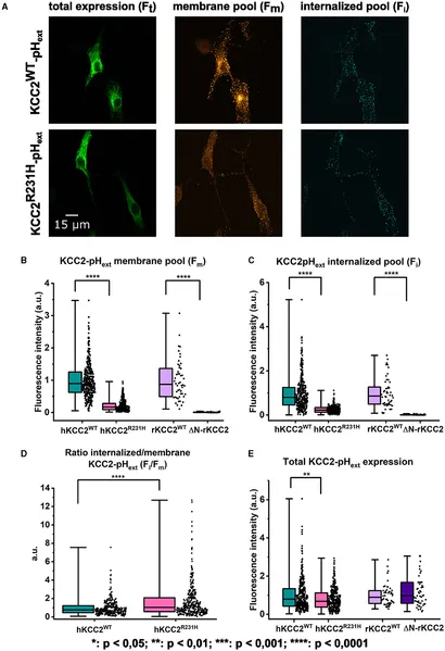 cns◡̈*♡ grinning face Emoji 😀 (U+1F600)