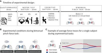 健康・医学 Dynamics of Skill Acquisition Amazon.com: Dynamics of Skill Acquisition: A Constraints-Led