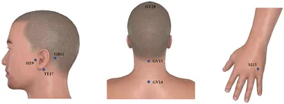 Frontiers | Modulations of resting-static functional