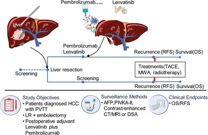 Schiff's Diseases of the Liver: Schiff, Eugene R., Maddrey
