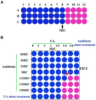 キム Self-splicing RNA circularization facilitated by intact
