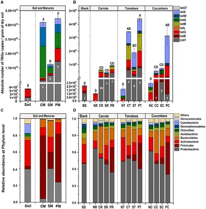 Frontiers | Interplay among manures, vegetable types, and