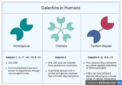 「専用②」 Amazon | キタコ(KITACO) スーパートルクカム タイプ2 (スリット