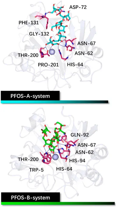 fmolb-11-1398603-g002.jpg