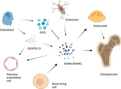 その他 On Stage Frontiers | Emerging role of non-coding RNAs in resistance