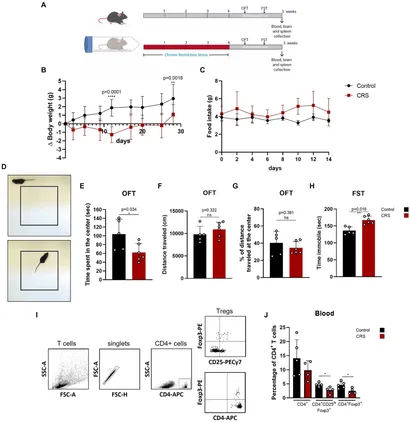 Reconstructing the dietary habits and trophic positions of