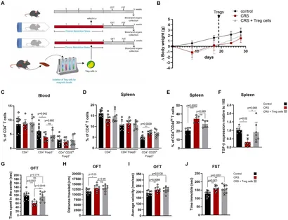 Frontiers | Regulatory T cells administration reduces